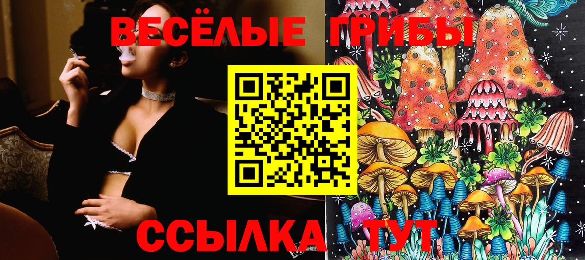 закладки  Галлюциногенные грибы MAGIC MUSHROOMS  Вход с VPN  Фролово 